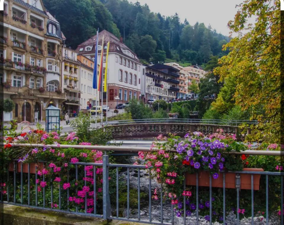 Viva La Wildbad Daire Bad Wildbad Dış mekan fotoğraf