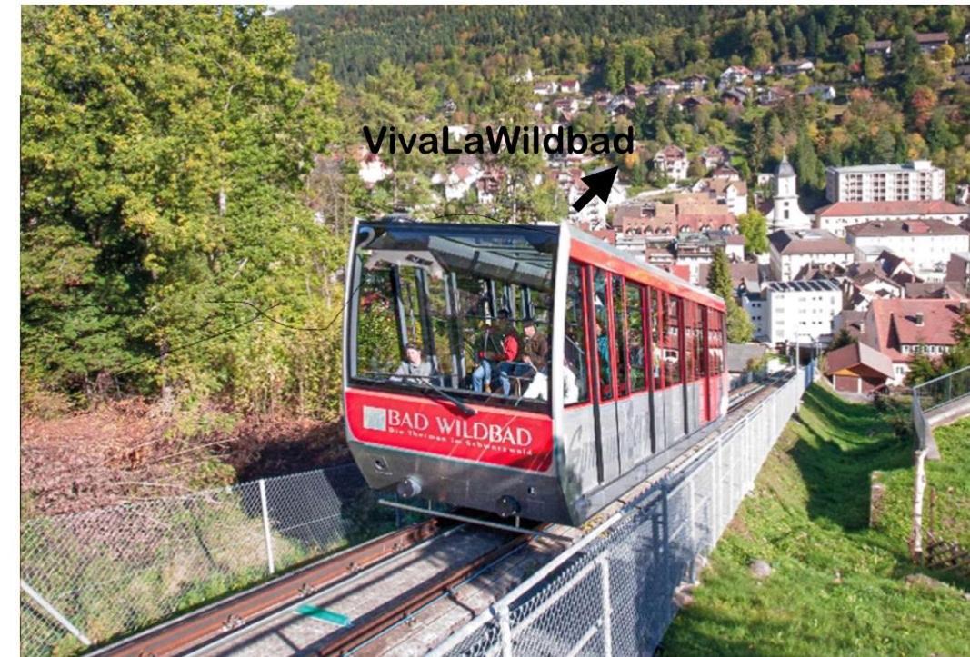 Viva La Wildbad Daire Bad Wildbad Dış mekan fotoğraf